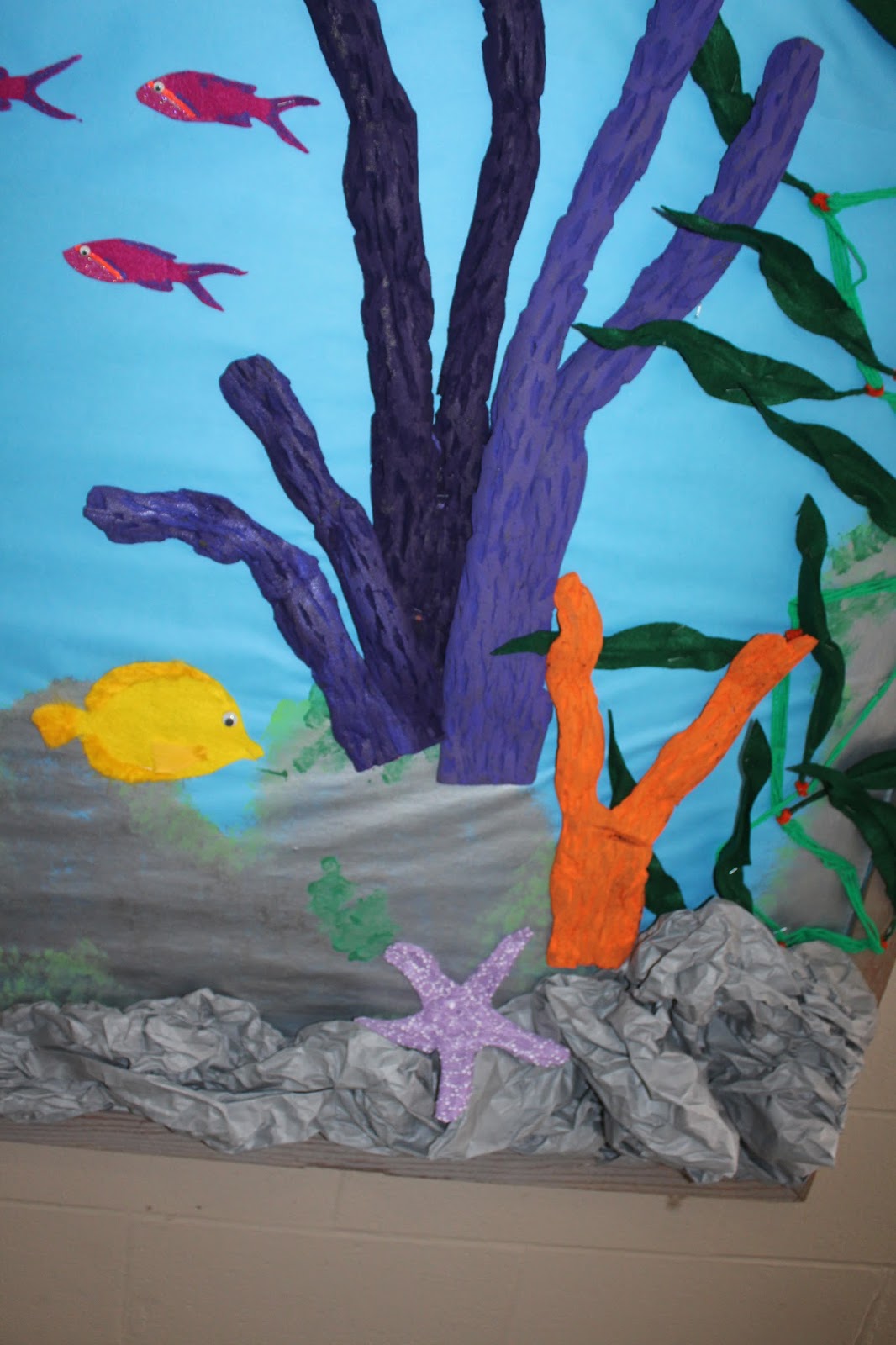 School Bulletin Boards Underwater Tropical Ocean Scuba Diver School