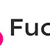 Google Fuchsia OS Developer Interviews