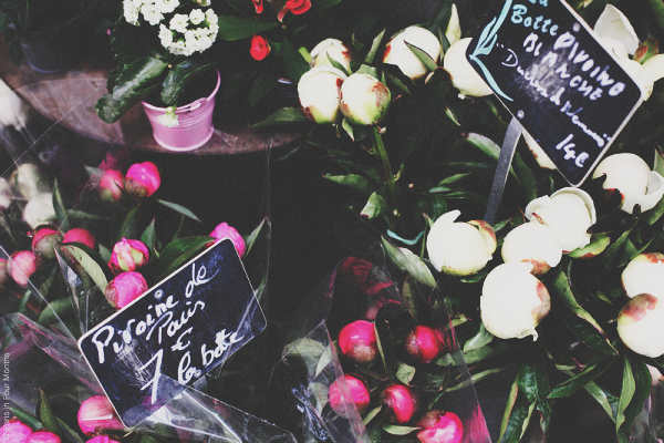 {travel inspiration | places : at the parisian flower markets}