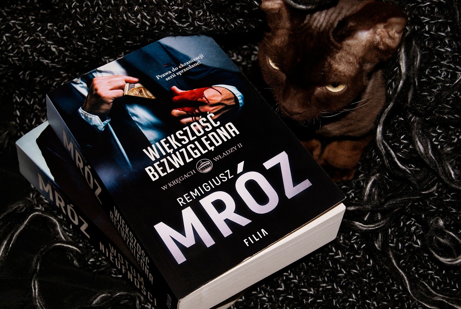 Wypisz - Wymaluj: WIĘKSZOŚĆ BEZWZGLĘDNA - Remigiusz Mróz | W kręgach