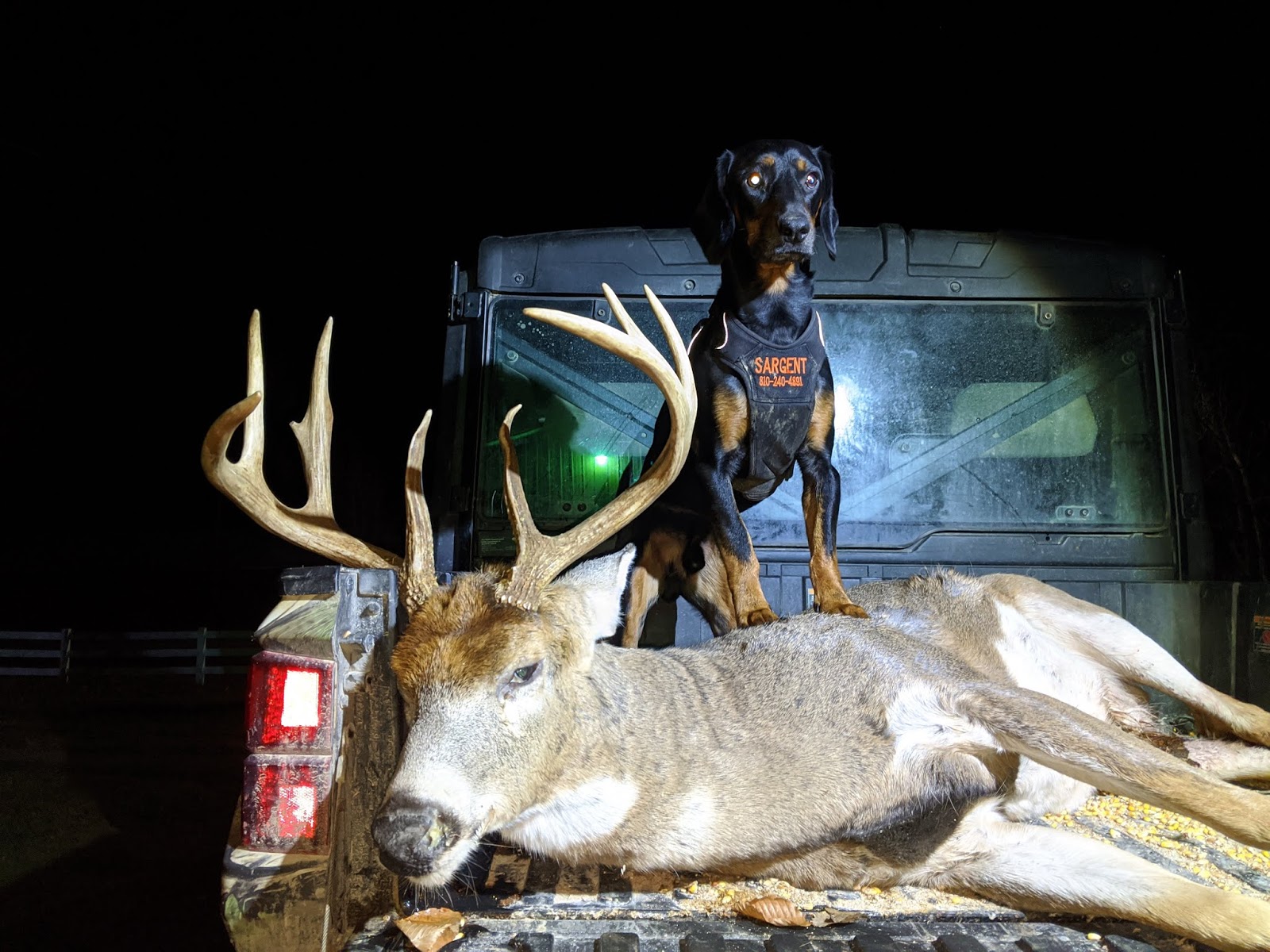 Miller Deer Tracking Blood Tracking dogs in Michigan, ohio, Indiana