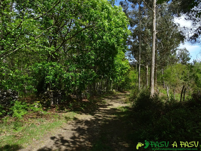 Ruta de los Castros: Bajando a las Cabañas