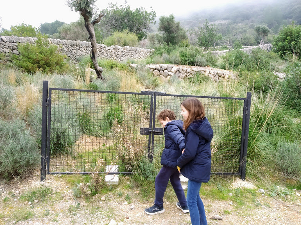 Sierra de Tramuntana