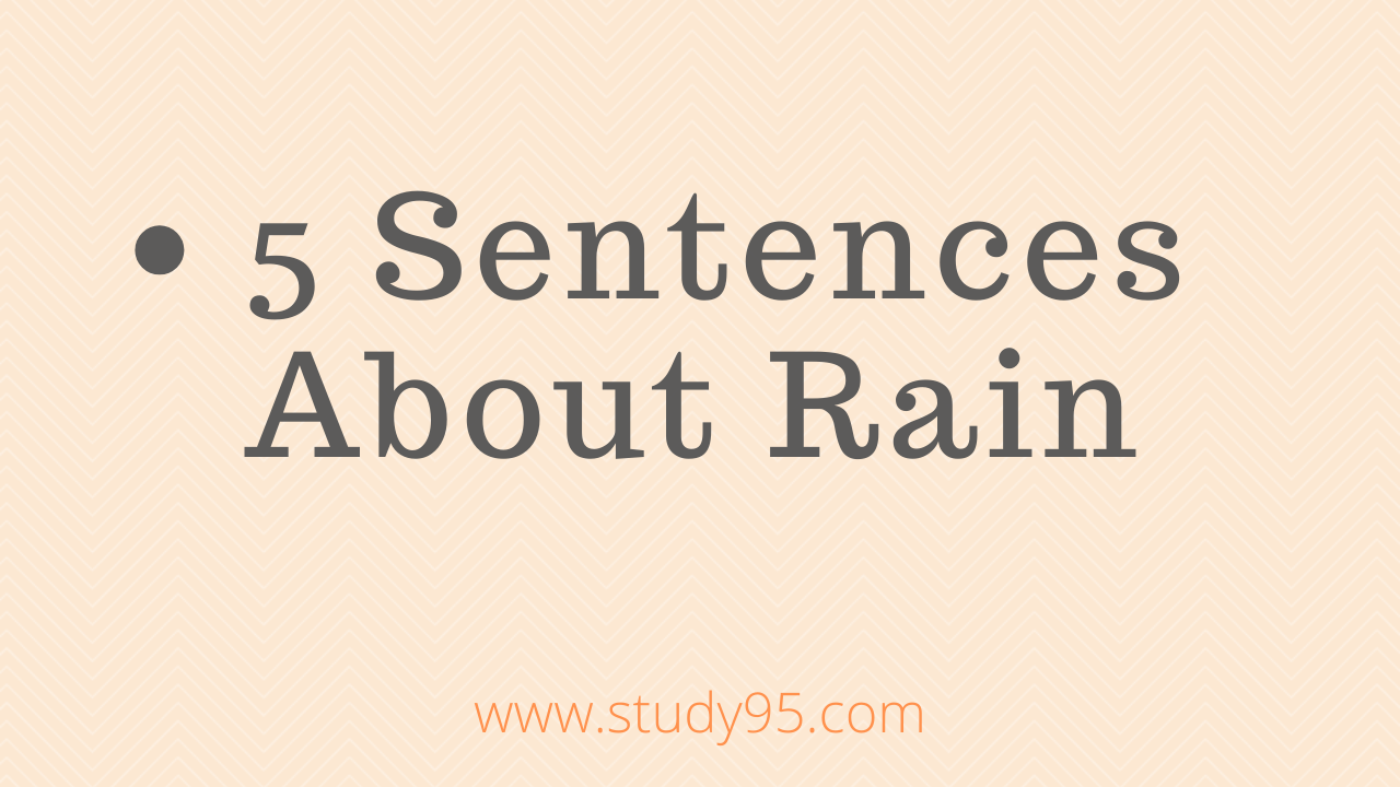 5 Sentences About Rain