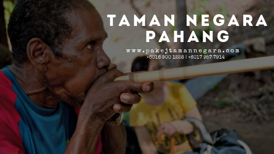 Pakej Taman Negara Pahang 2024