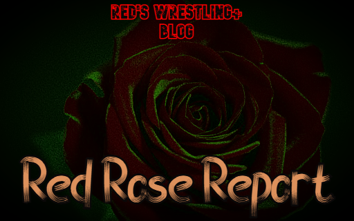 Red Rose Report #5: Bombing the Poor and More