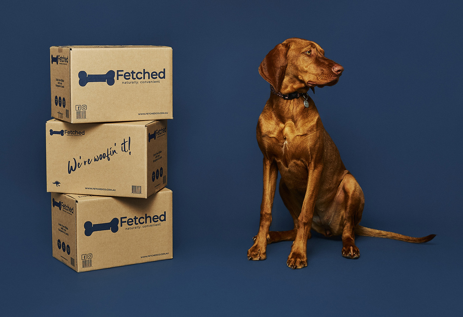 Fetched preportioned dog kibble delivered Australian Dog Lover
