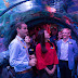 SEA LIFE Malaysia is Now Officially Open at LEGOLAND® Malaysia Resort