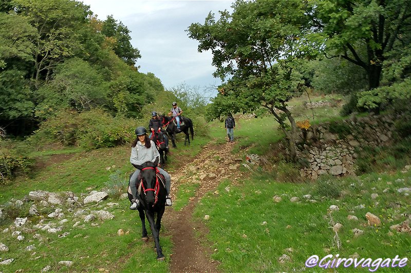 escursioni gargano trekking cavallo
