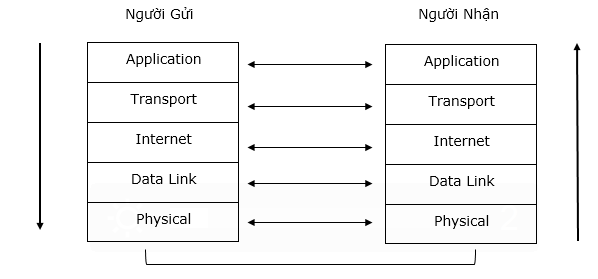 Mô hình OSI và TCP/IP | Networking: Mô hình OSI và TCP/IP