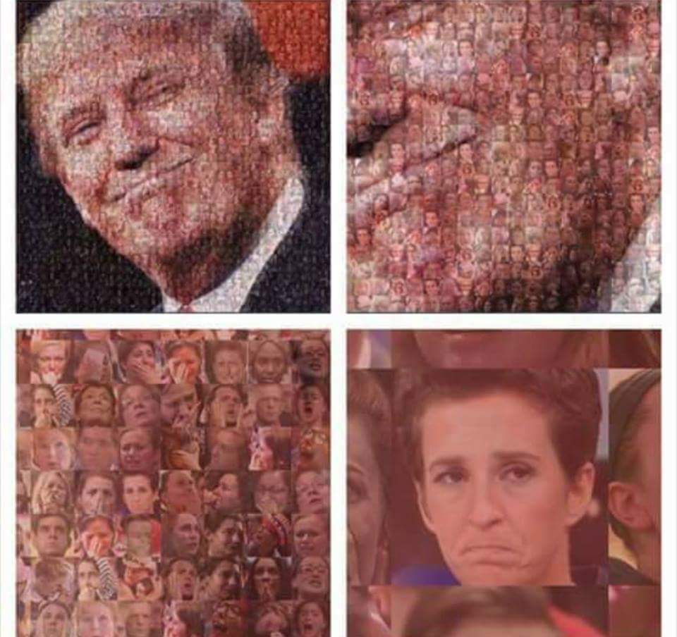 Mosaic of trump made from dick pics