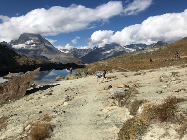 スイス・ツェルマット・ゴルナーグラートを犬ずれで訪れる人々
