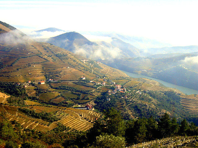 The pastoral countryside of Pinhão beckons to wine lovers everywhere. Photo