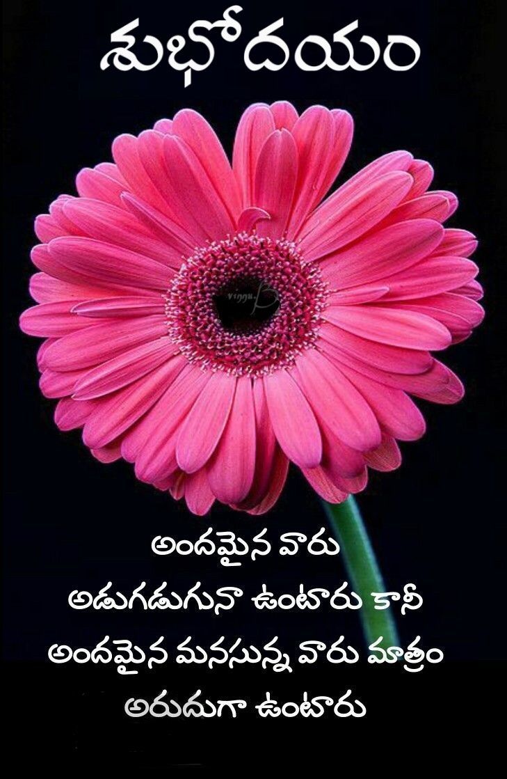 good morning images in telugu