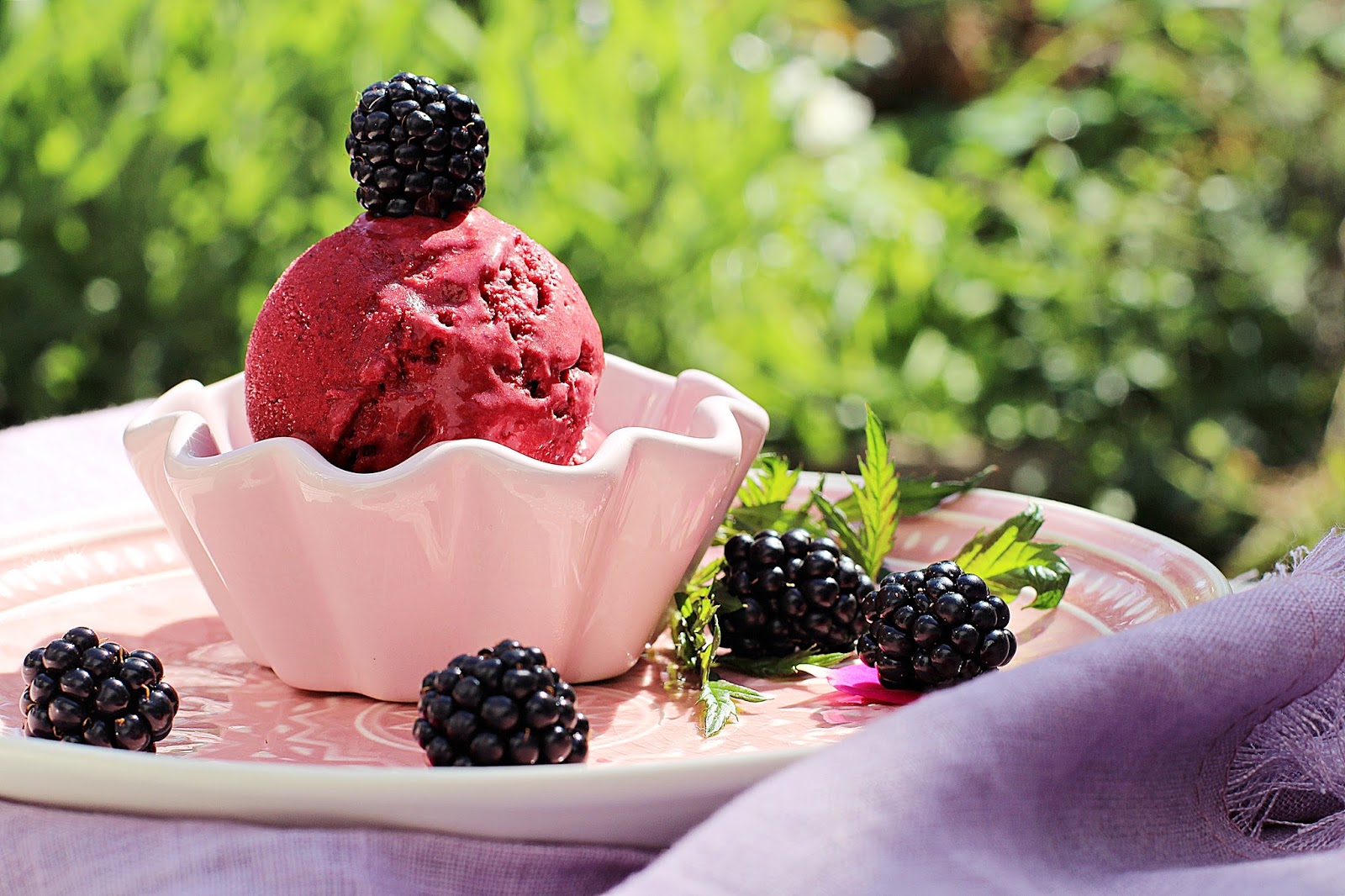 Brombeereis Rezepte - Mein Brombeereis