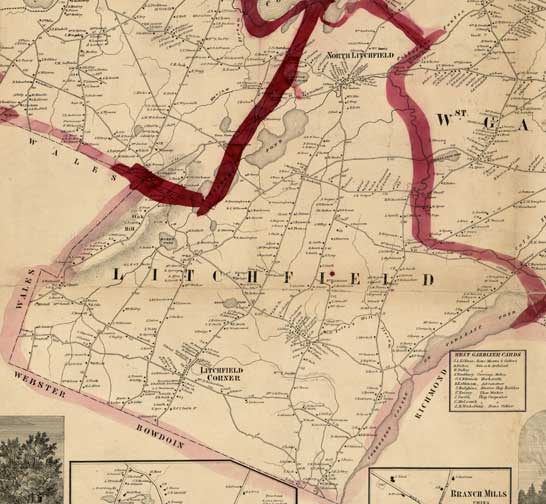 Leaf, Twig & Stem Litchfield Maine