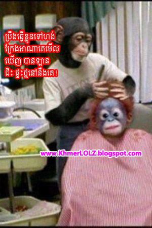 Khmer Lolz: Funny monkey make up, funny picture