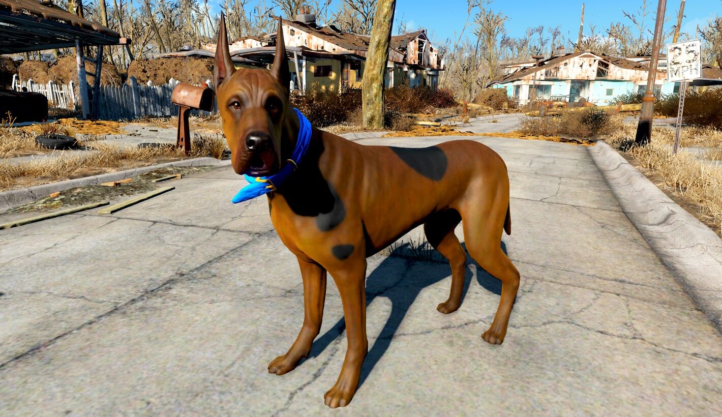 Порода собаки из мультика скуби ду. Скуби ду порода пса. Какой породы скуби ду. Порода скуби ду. Порода скуби ду.