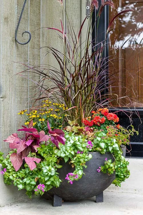 Ideas for fall planter/boxes