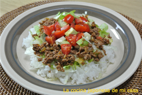 Taco-rice