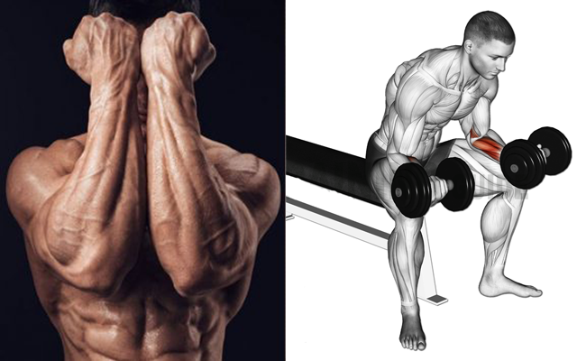 The Best Exercises To Build Bigger Forearms