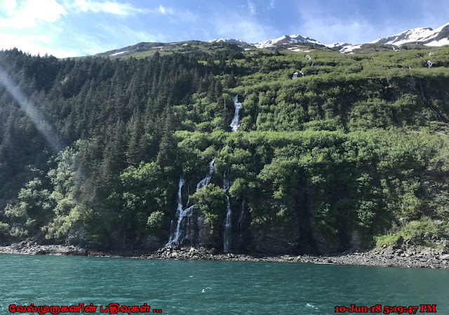 Whittier Glacier Waterfalls