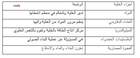 المواد مرور من في مما وإليها ؟ يتحكم أي الخليه يلي أي مما