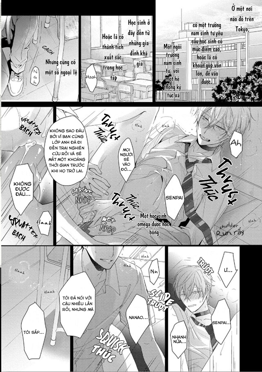 Đọc truyện Omega Không Đứng Đắn Không Thể Rơi Vào Lưới Tình - Chapter 1