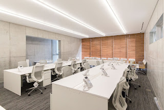 フィヨルド馬 – 多くの才能を備えたクールなスカンジナビア産馬