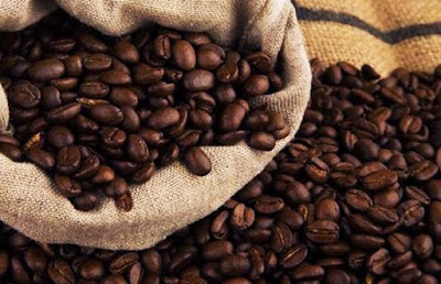 definisi penjelasan tentang coffea robusta atau kopi robusta - cawenekopi - sruputapik