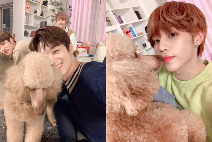 어제자 댕댕이랑 만난 인간 댕댕이 남돌 | 인스티즈