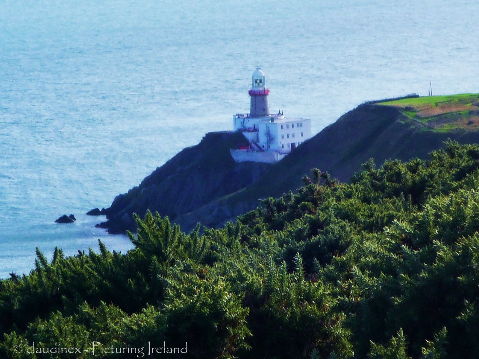 Picturing Ireland : Howth Head cliff walk, Co. Dublin