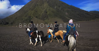 Horse Bromo bromo mountain, bromo tour, bromo tour packages