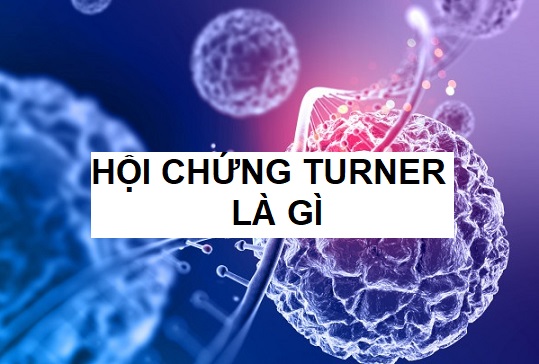 hoi-chung-turner-la-gi