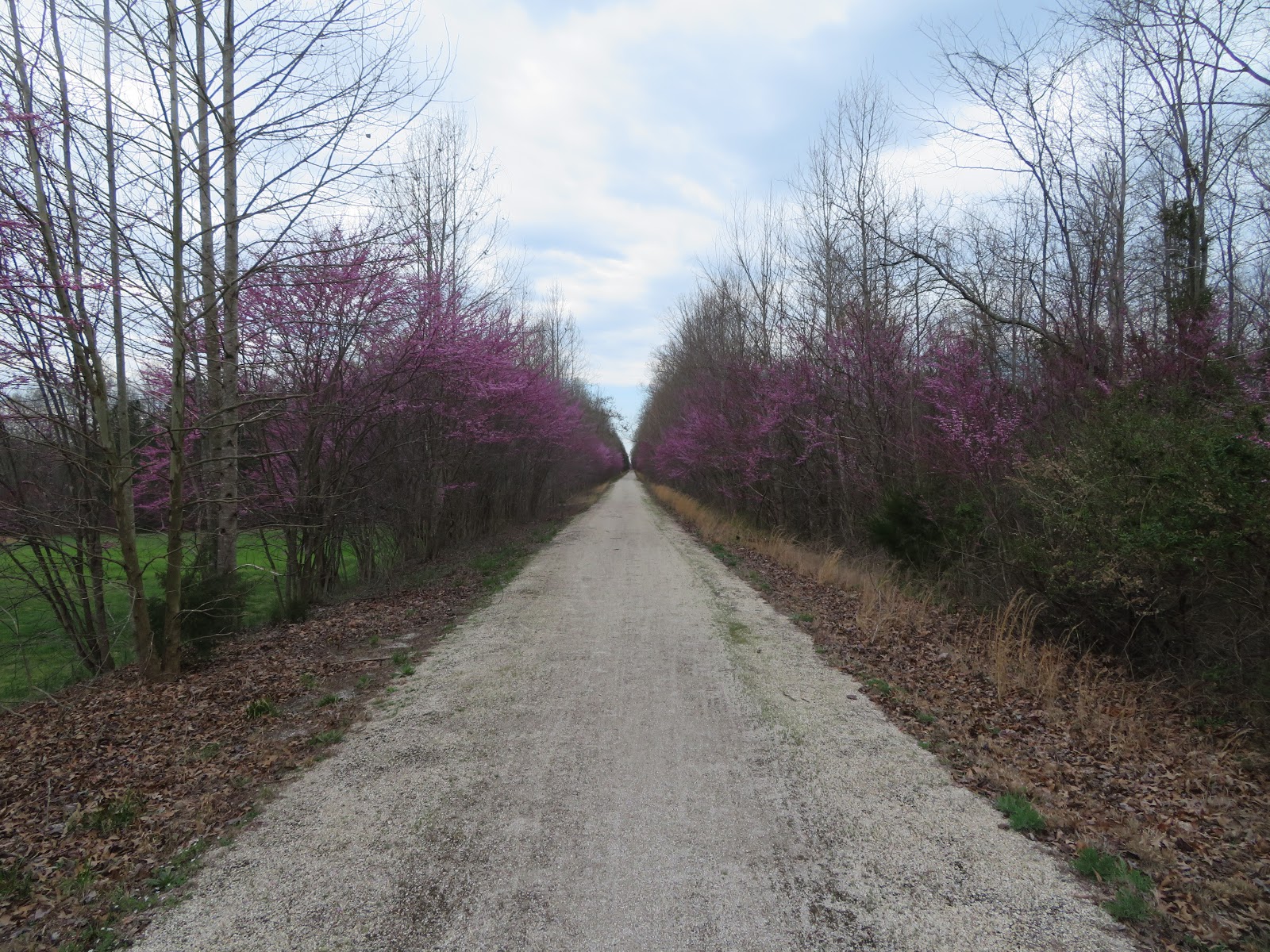 Bikes, Boots, & Boats Biking the High Bridge Trail, Farmville, Virginia