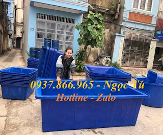 Thùng nhựa công nghiệp dung tích lớn, thùng nuôi thủy hải sản, thùng nhựa dung tích lớn giá rẻ