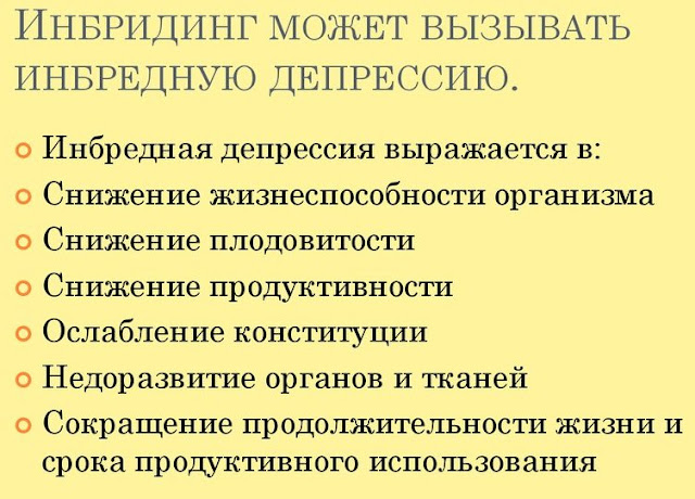 Инбридинг характеристика. Инбридинг и инбредная депрессия. Инбредная депрессия. Причины инбредной депрессии. Инбредная депрессия пример.