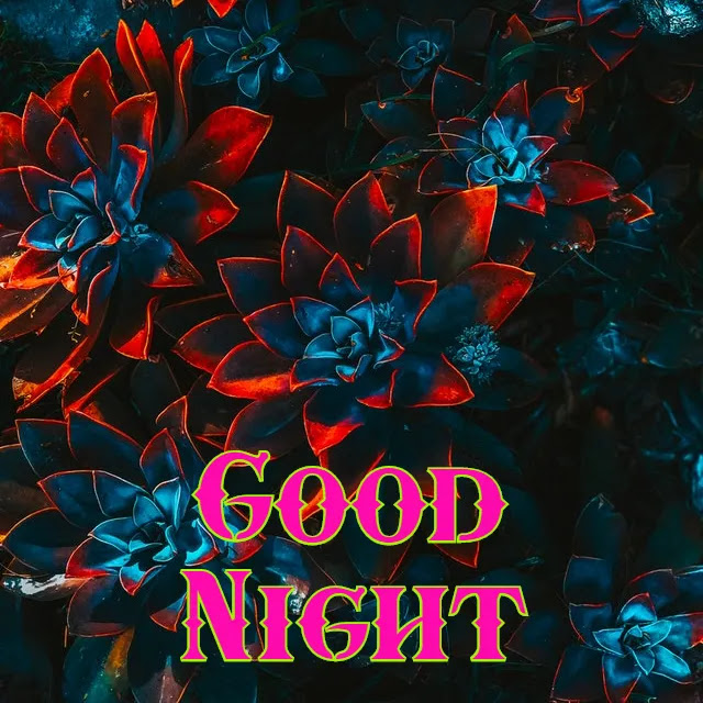 Good Night HD Images Good Night HD Images