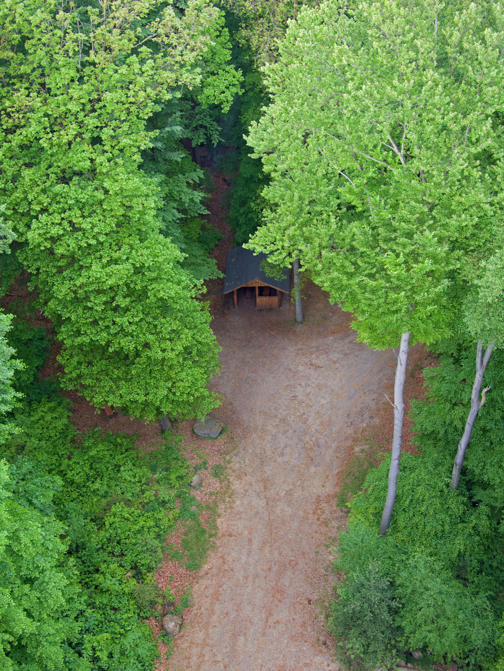 Https Www Ejz De Sonderseiten Pdf 199 20200402104459 Pdf