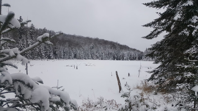 Lac sur la boucle de la Loutre