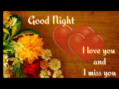 good night good night