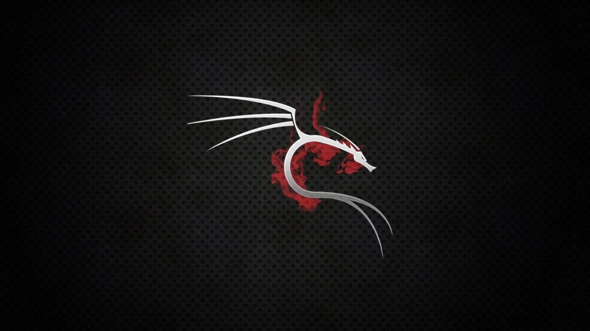 Kali Linux Wallpaper