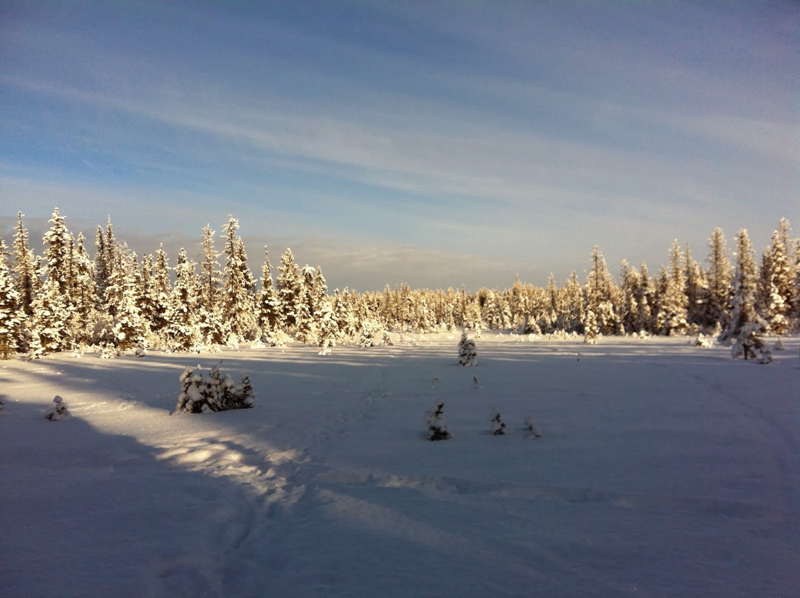 Winter Hiking Snowshoeing at the Carl E. Wynn Nature Center or