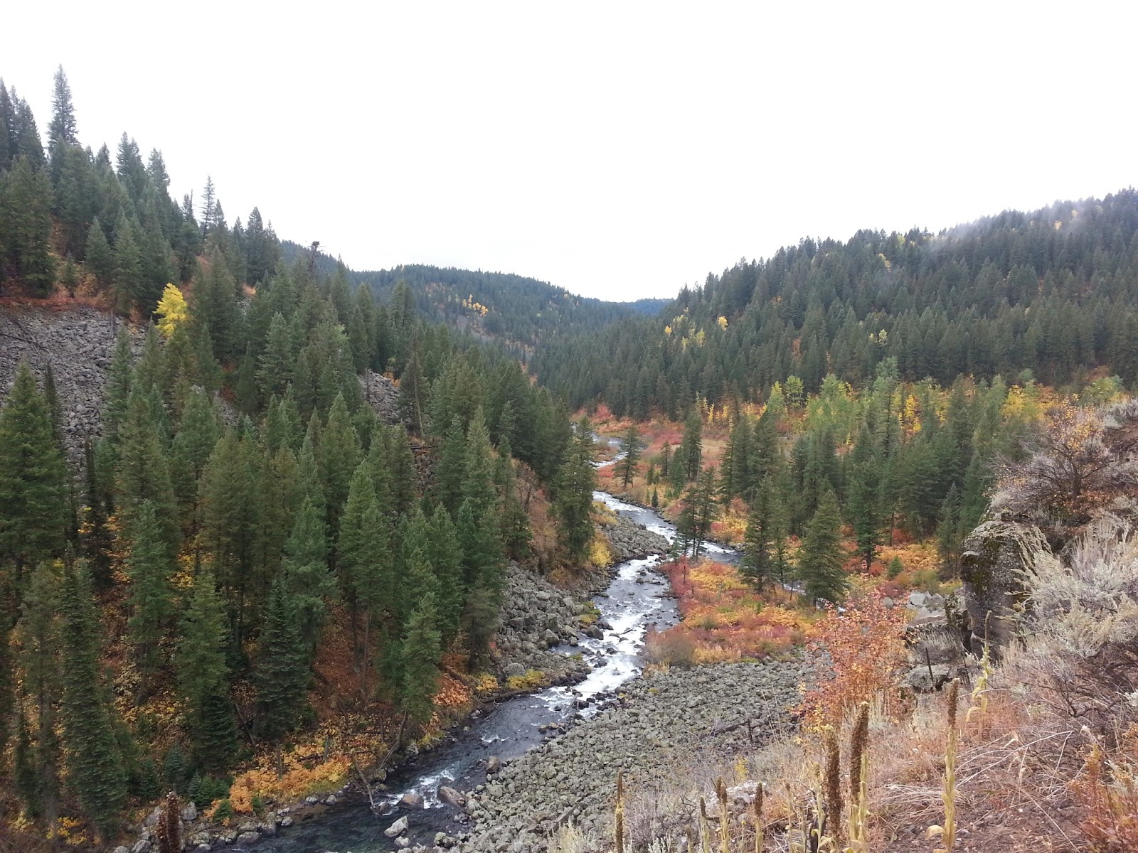 Biking alongside Warm River in southeast Idaho