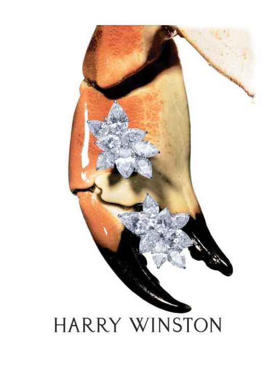 Life Must Have Sparkle: Harry Winston