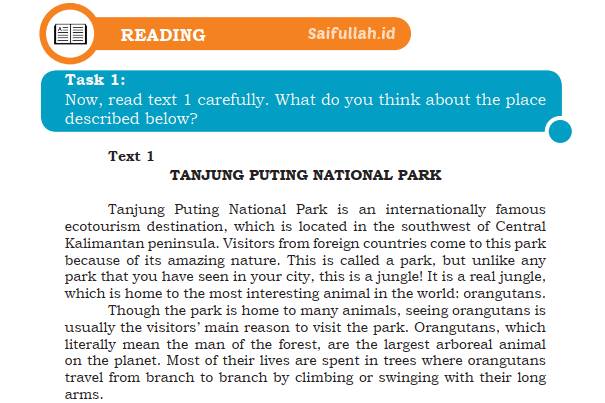 Terjemahan Teks Tanjung Puting National Park Chapter 4 Task 1 Halaman 53 (Reading) Kelas 10