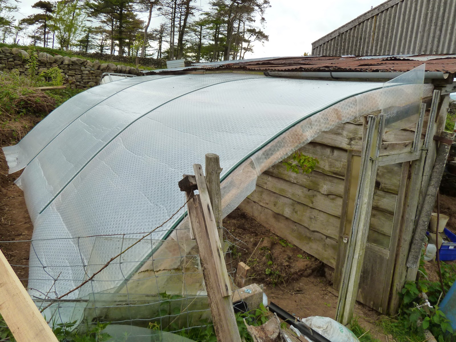 Backsbottom Farm Apricot Greenhouse