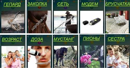 ответы на 43 уровень 600 слов красивая заколка на волосах ответы 43 уровень