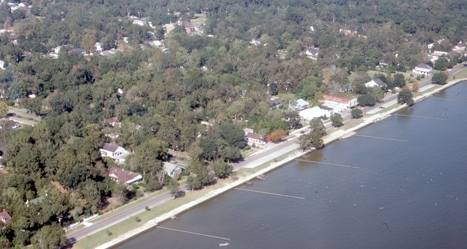 Tammany Family Aerial Photographs of Mandeville 1975