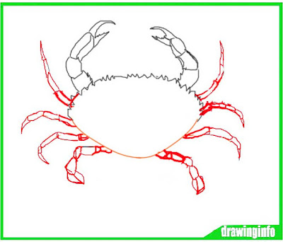 how-to-draw-a-crab